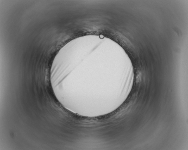 X0000113371156200910131315