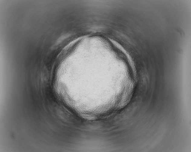 X0000113371158200910131315