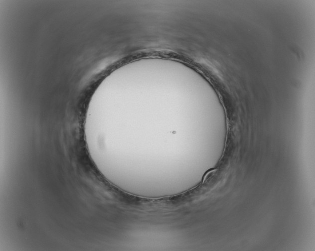 X0000113371159200910131315