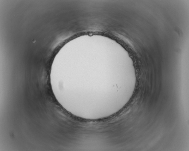 X0000113371160200910131315