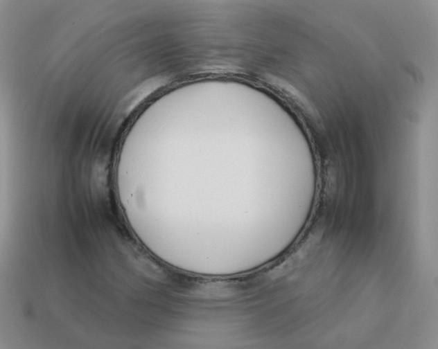 X0000113371162200910131315