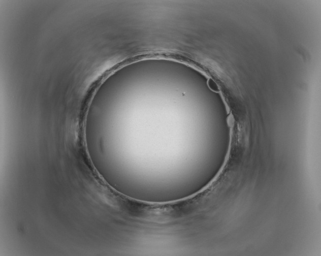 X0000113371165200910131315
