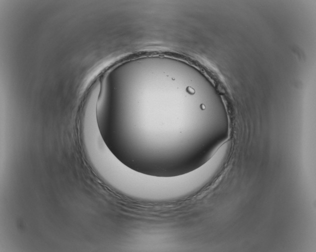 X0000113371167200910131315
