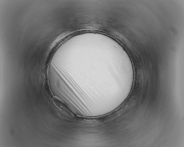 X0000113371168200910131315