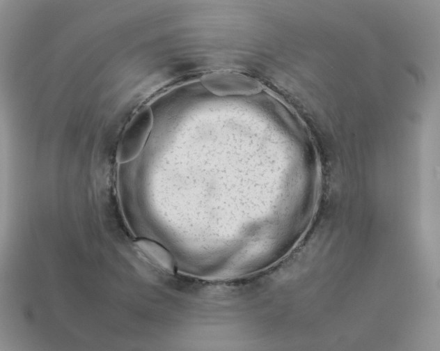 X0000113371169200910131315