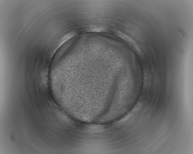 X0000113371170200910131315