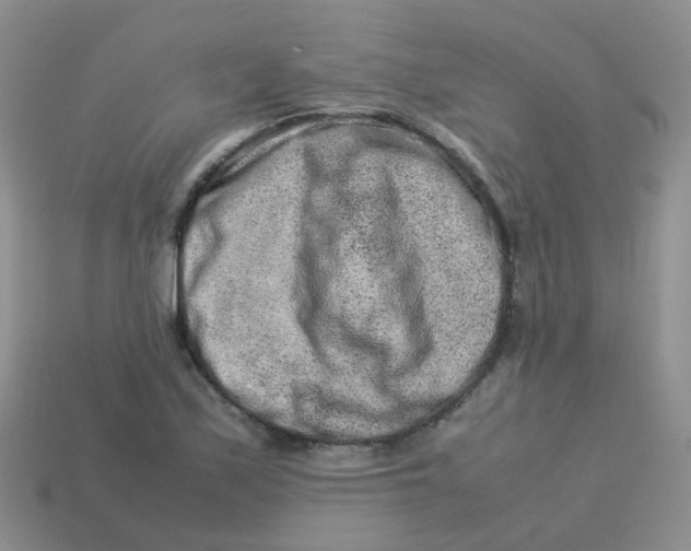 X0000113371171200910131315