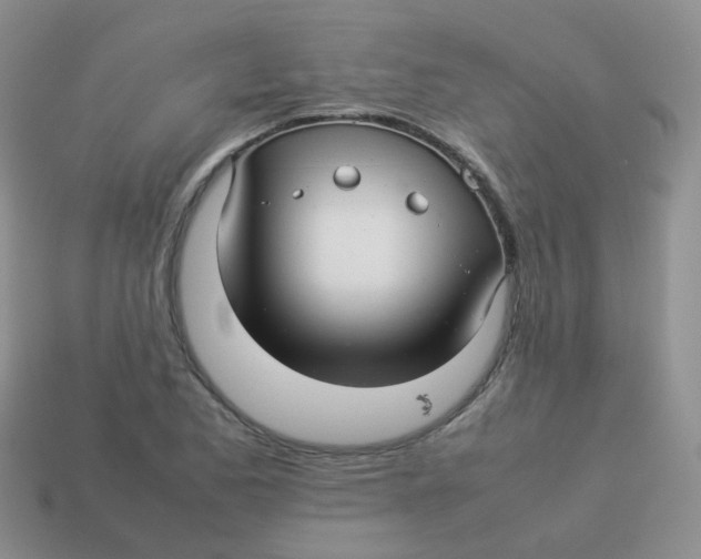 X0000113371173200910131315