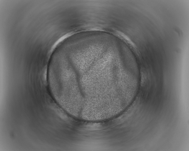 X0000113371174200910131315