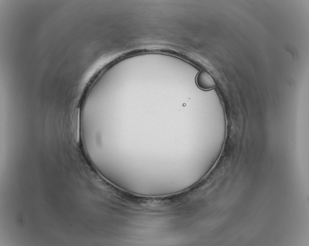 X0000113371175200910131315