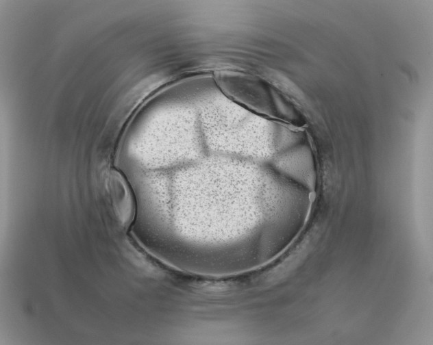 X0000113371177200910131315