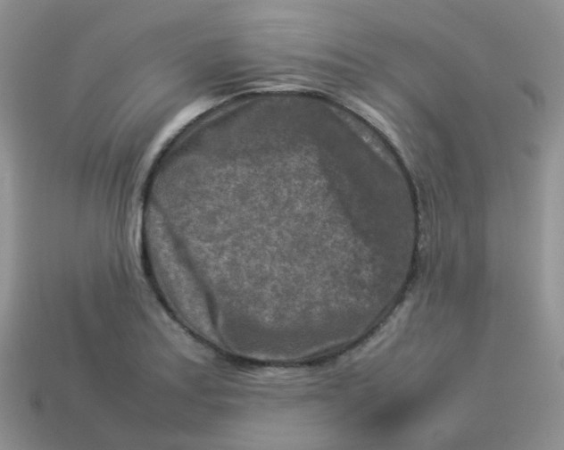 X0000113371179200910131315