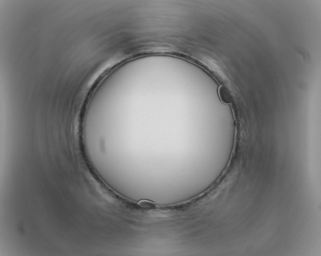 X0000113371181200910131315