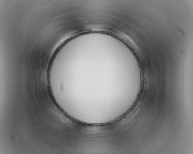X0000113371182200910131315