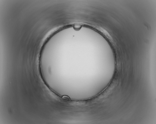 X0000113371183200910131315
