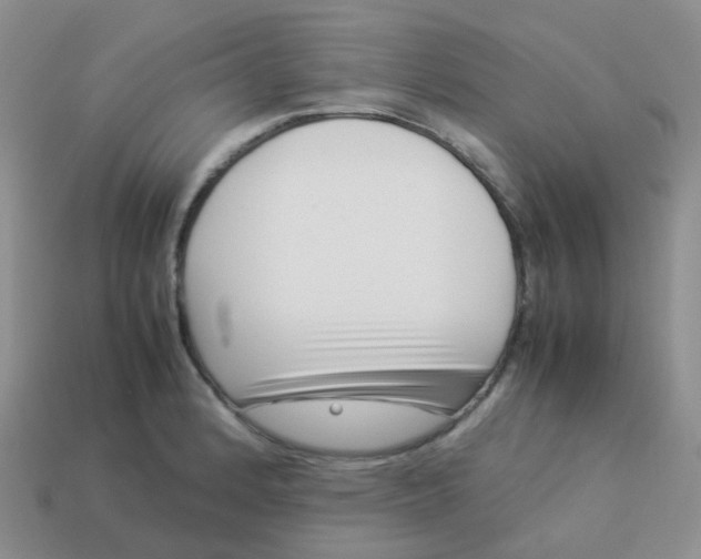 X0000113371184200910131315