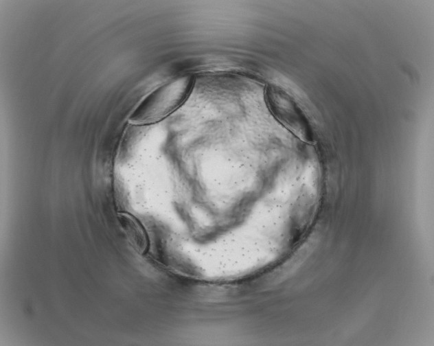 X0000113371185200910131315