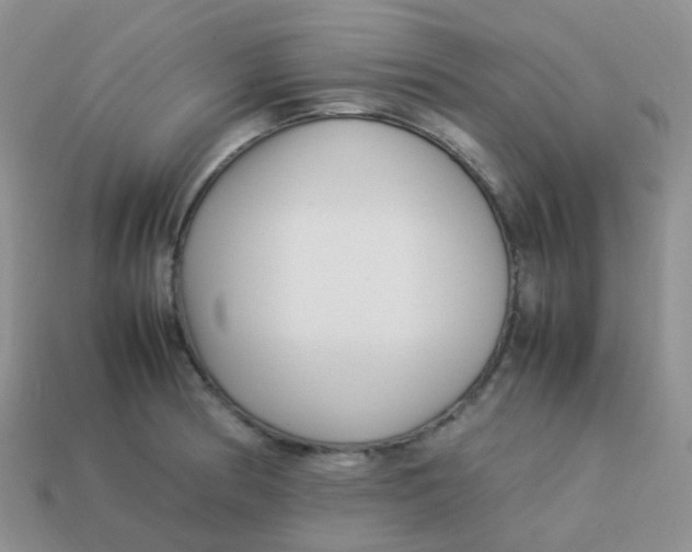 X0000113371186200910131315