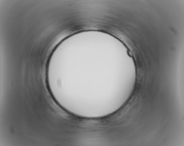 X0000113371187200910131315