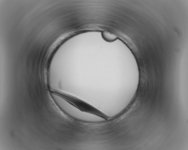 X0000113371188200910131315