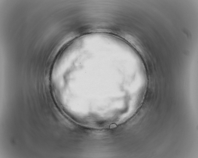 X0000113371189200910131315