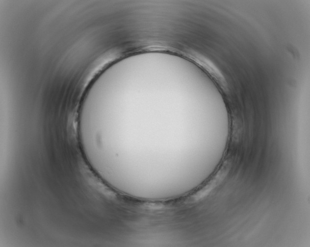 X0000113371190200910131315