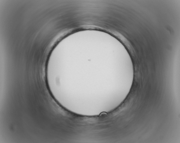 X0000113371191200910131315