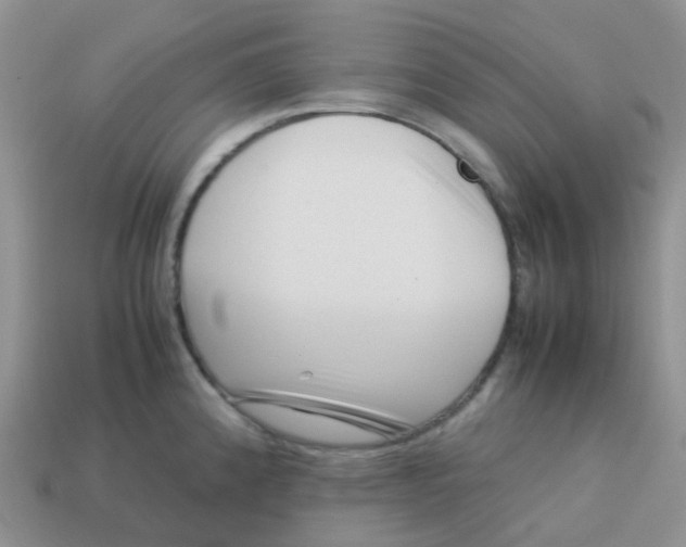 X0000113371192200910131315