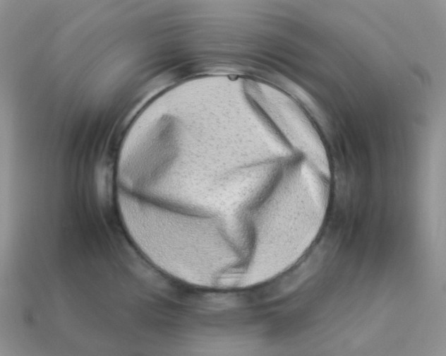 X0000113371194200910131314