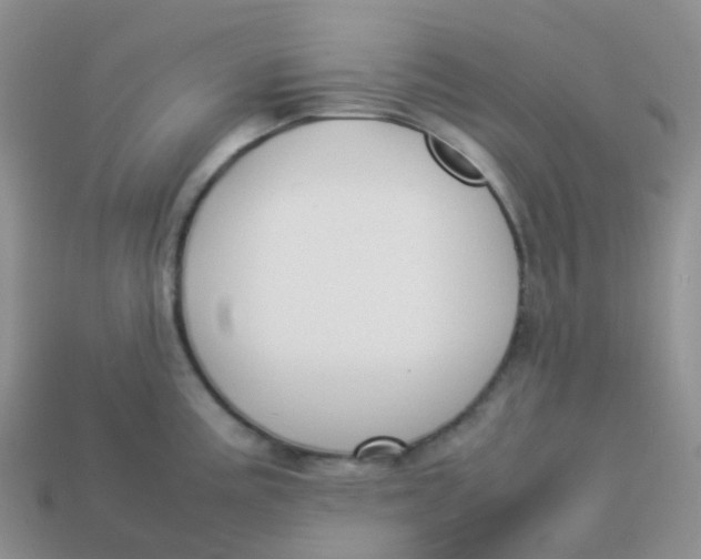 X0000113371195200910131314