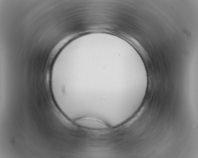 X0000113371196200910131314