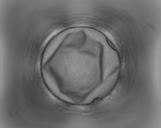 X0000113371197200910131314