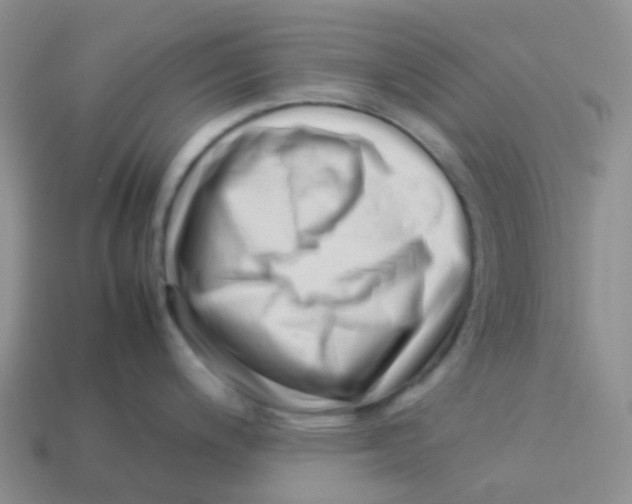 X0000113371200200910131314