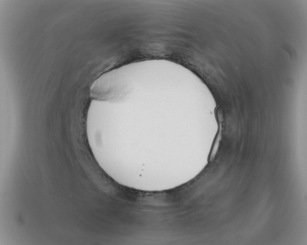 X0000113371201200910131314