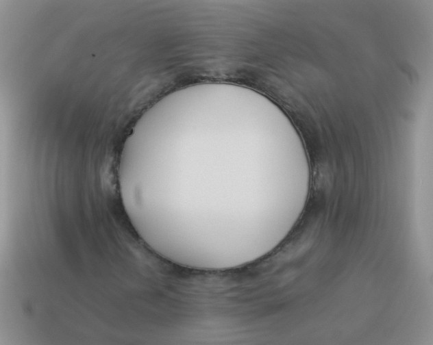 X0000113371202200910131314