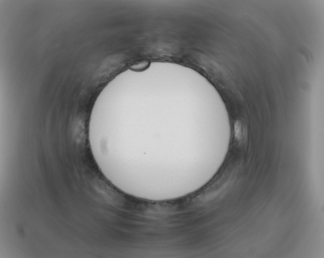 X0000113371203200910131314