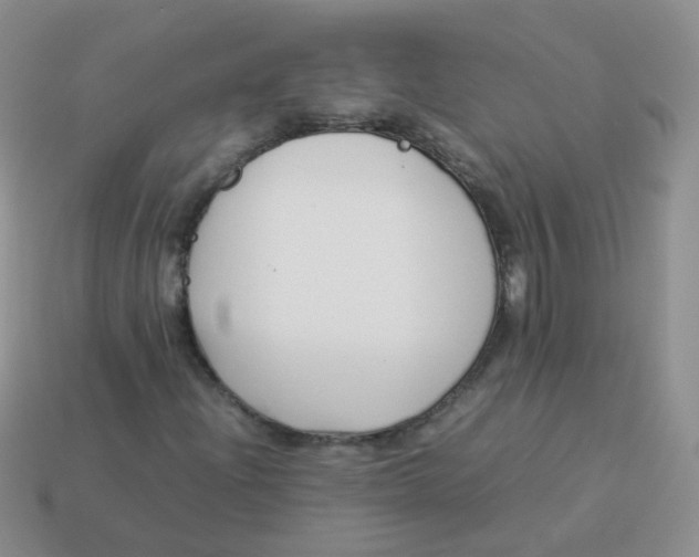 X0000113371204200910131314