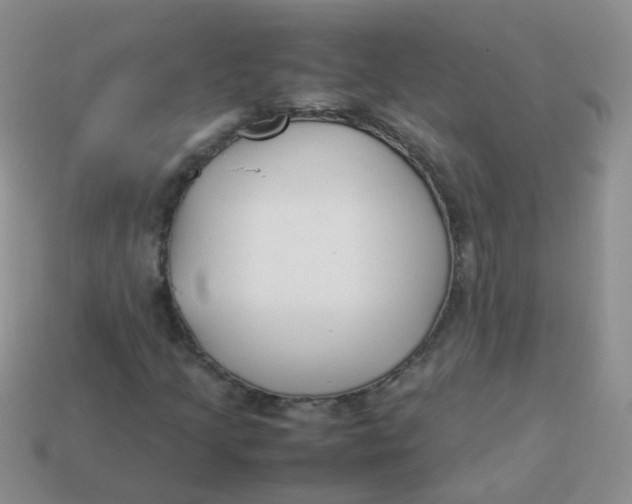 X0000113371205200910131314