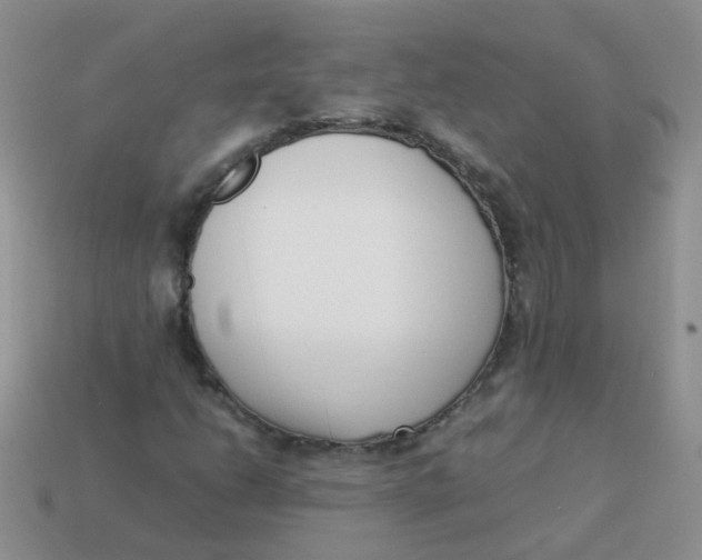 X0000113371206200910131314