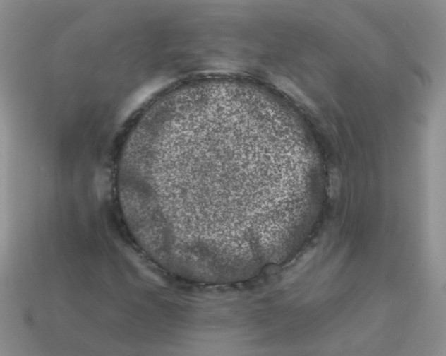 X0000113371208200910131314
