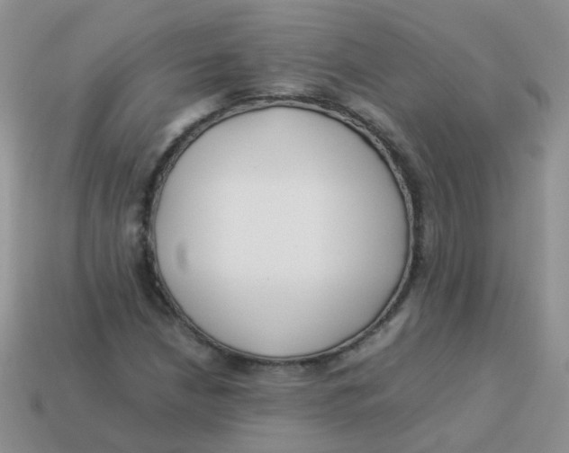 X0000113371210200910131314