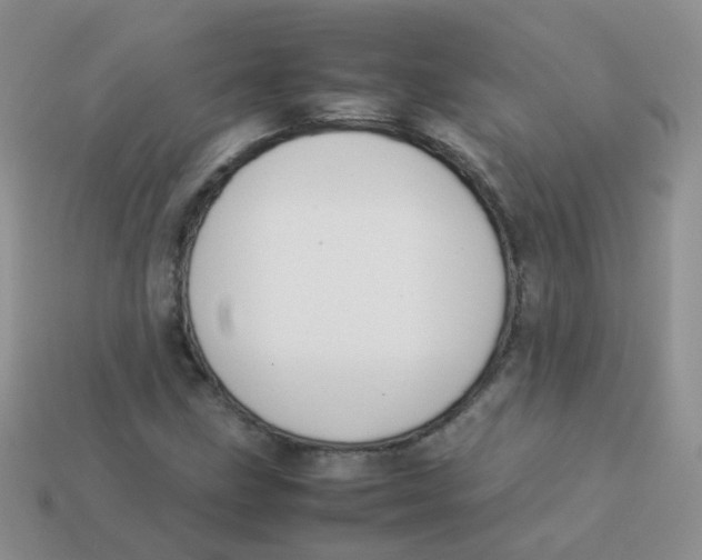 X0000113371211200910131314