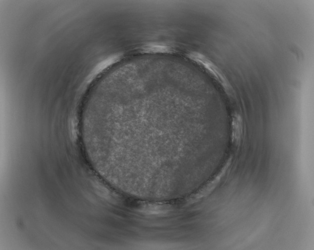 X0000113371213200910131314