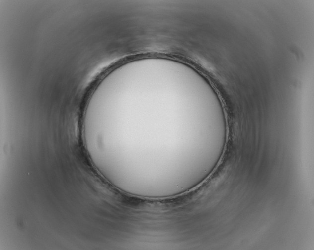 X0000113371214200910131314