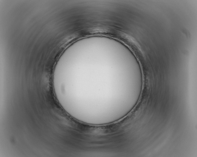 X0000113371217200910131314
