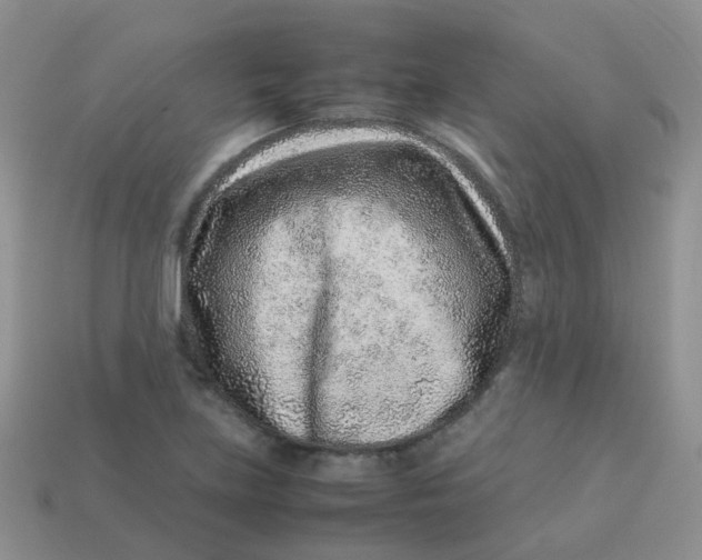 X0000113371219200910131314