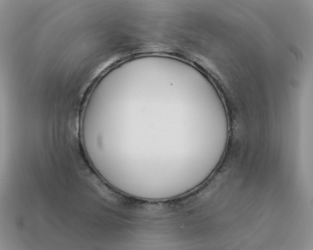 X0000113371220200910131314