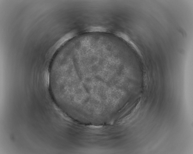 X0000113371221200910131314