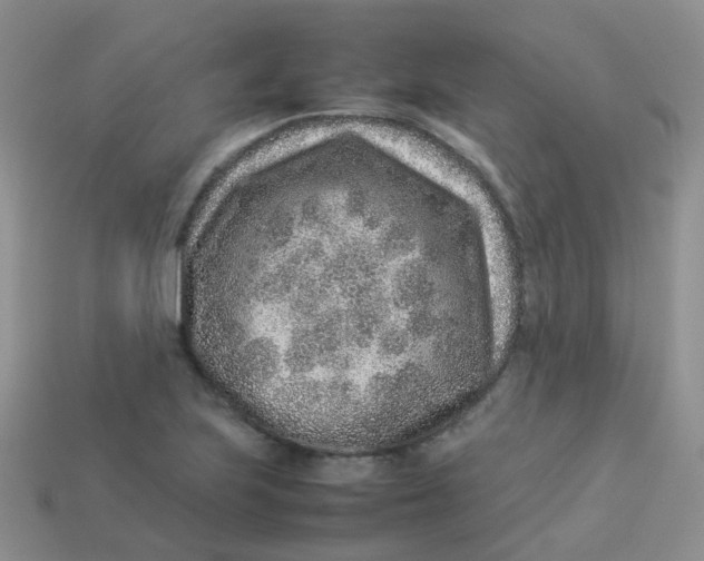 X0000113371223200910131314