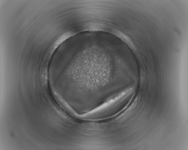 X0000113371226200910131314